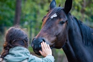 人間のフェロモン香水は科学的に効果があるのか？