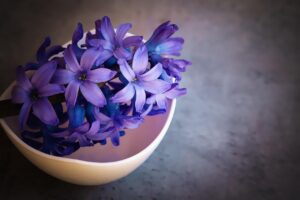 香りにはフェロモンの作用があるって本当なの？