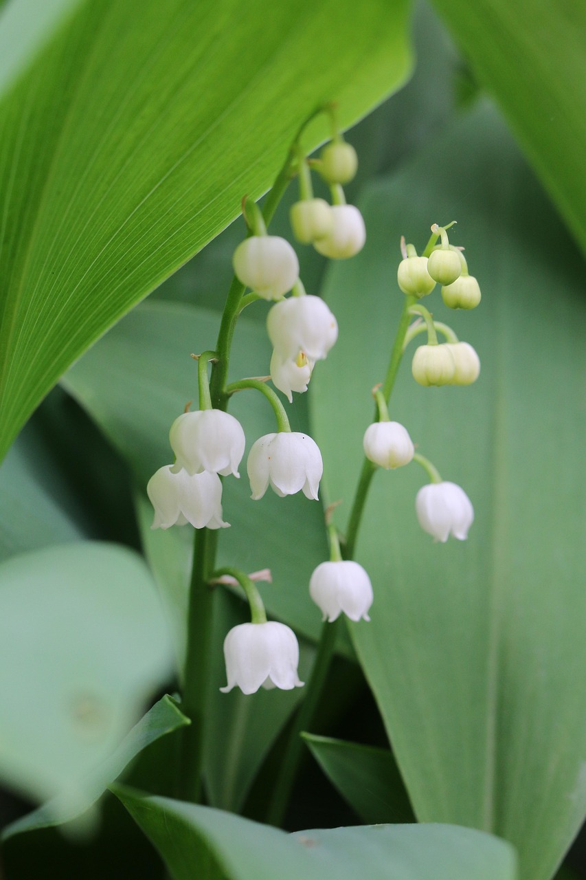 フェロモン香水の使い方と注意点を知っておくべき理由は？