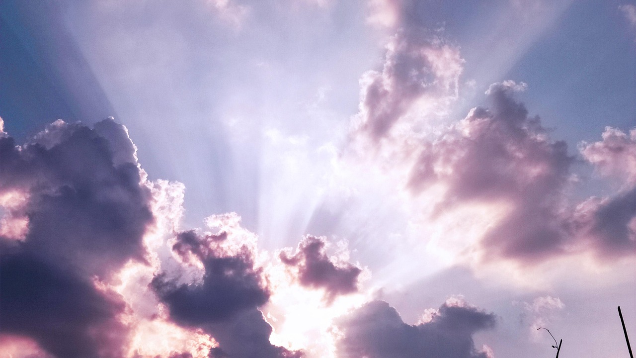 フェロモン香水の効果に関するエビデンスはどこにある？