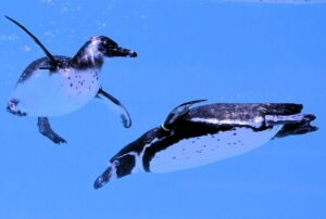 自然に惹きつける立ち振る舞いを身につけるためのコツは？