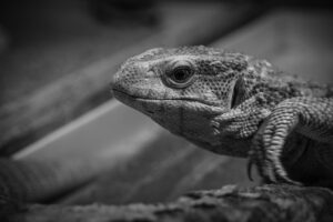色気のある仕草を自然に見せる方法は？